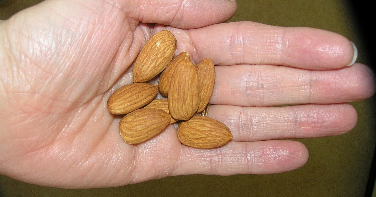 Bittermandeln sind giftig So kannst du