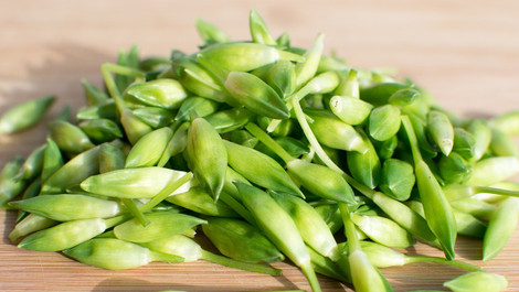Bärlauchknospen einlegen: Rezept für Bärlauchkapern