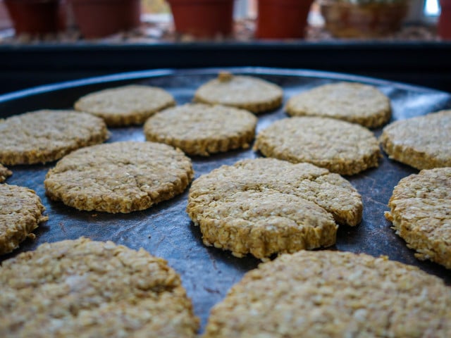 Haferflockenkekse gehen auch vegan.