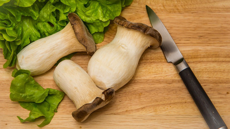 Pasta mit Kräuterseitlingen: Aromatisches Rezept