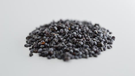 Gnocchi mit Mohn? Die Kartoffelklößchen mal anders