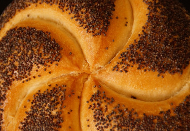 mohnbrötchen