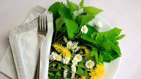 Brennnessel-Salat: Frühlingsrezept mit dem Wildkraut