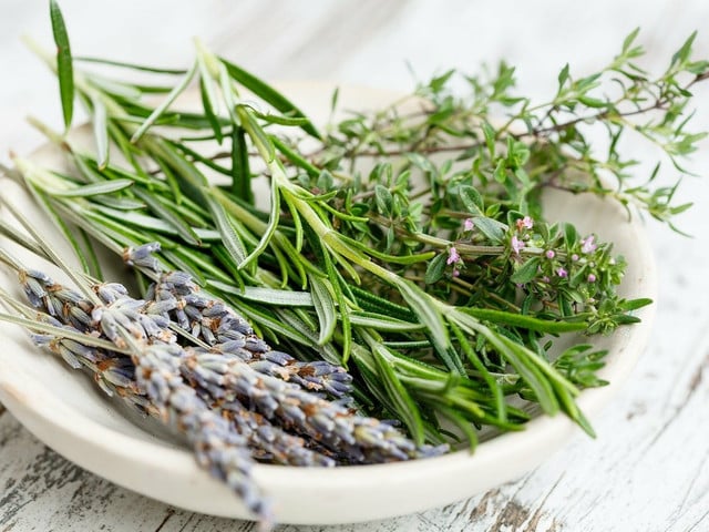 Kräuterkekse: Variationsmöglichkeiten und Tipps Auch Lavendel eignet sich als Grundlage für Kräuterkekse.