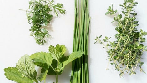 Salatkräuter-Mischung selber machen: So geht’s
