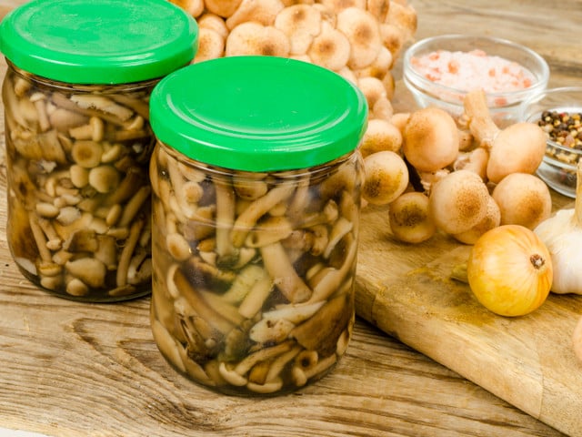 Du kannst Pilze deiner Wahl fermentieren.