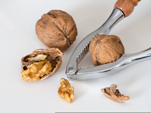 Rezept: Kürbis-Walnuss-Kuchen aus der Springform Fein gemahlene Walnusskerne machen den Kürbis-Walnuss-Kuchen besonders aromatisch.
