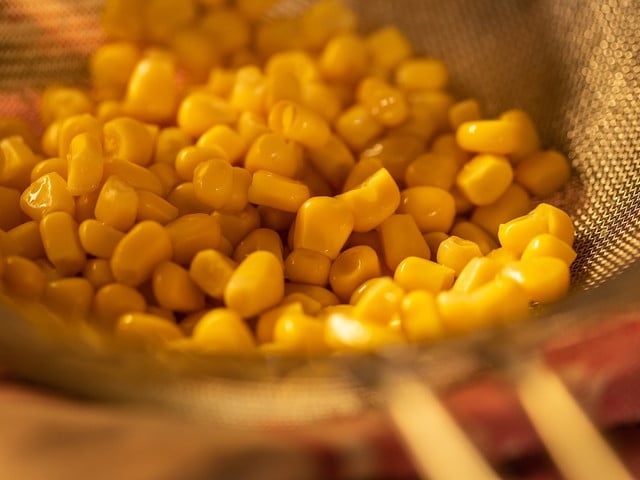 Durch den Mais bekommt Maisauflauf eine frische, süßliche Note.