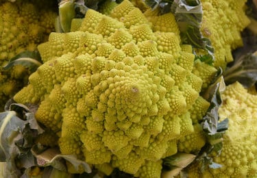 Romanesco Auflauf