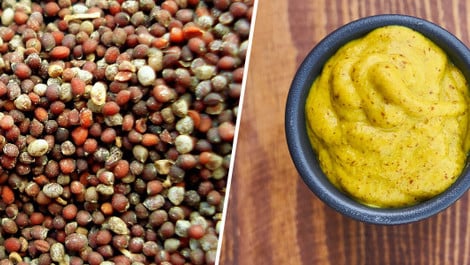 Senf selber machen: Einfaches Rezept mit 4 Varianten