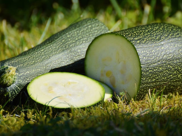 Die Zucchini-Bällchen kannst du auch vegan zubereiten.