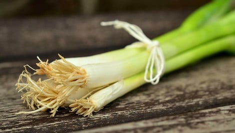 Frühlingszwiebel-Rezept: Linguine mit italienischen Kräutern