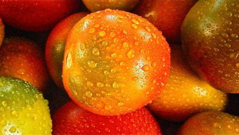 Süß-saure Tomaten: Rezept zum Einlegen