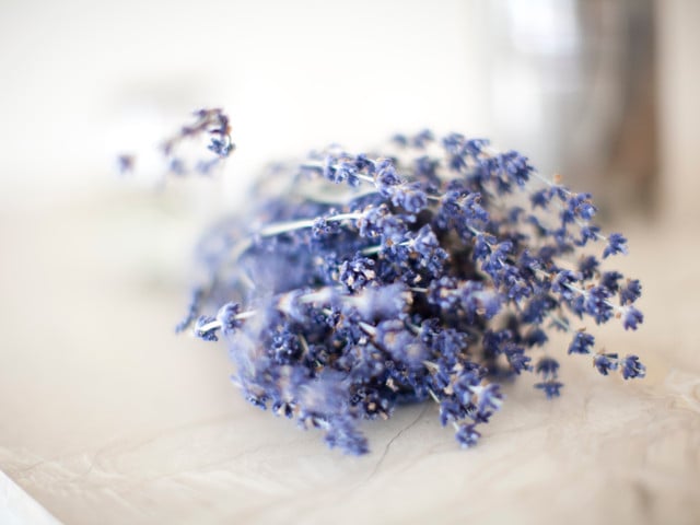 Für Lavendel-Limonade kannst du getrockneten Lavendel verwenden.