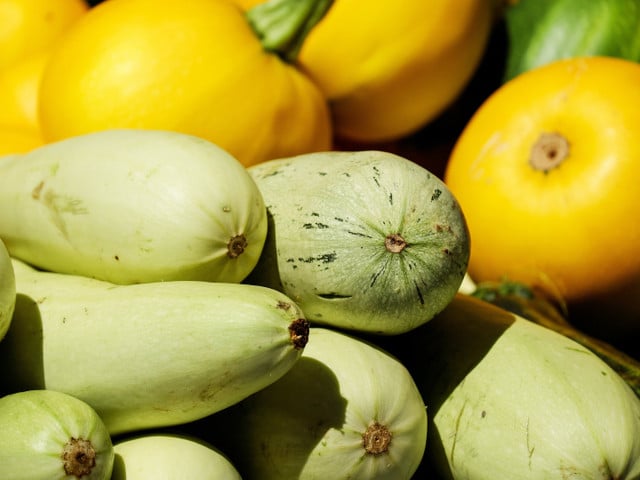 Zucchinirouladen: Einkaufstipps und Variation Kaufe für die Zucchinirouladen möglichst regionale Bio-Ware der Saison.