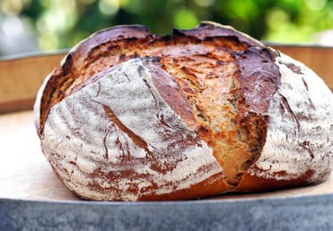 Pilzbrot