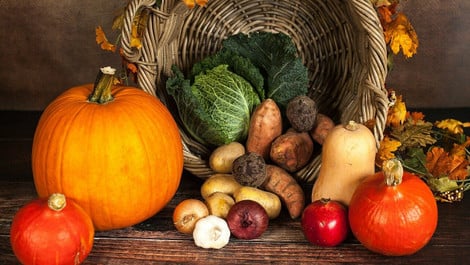 Vegan in den Herbst: Diese Rezepte solltest du probieren