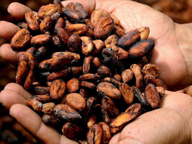 Achte beim Kakaokauf auf das Fairtrade-Siegel.