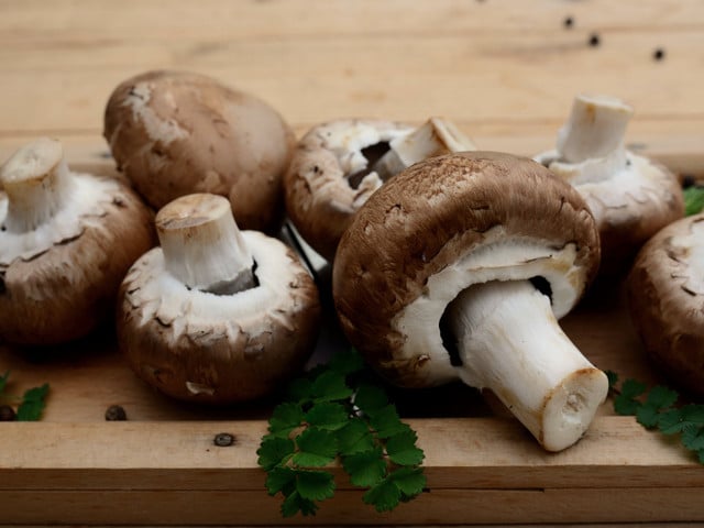 Pilzbrot: Zutaten, Variationen und Serviertipps  Du kannst das Pilzbrot auch mit frischen Pilzen zubereiten.