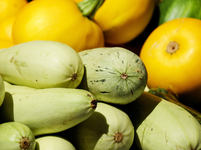 Kaufe für die Zucchinirouladen möglichst regionale Bio-Ware der Saison.