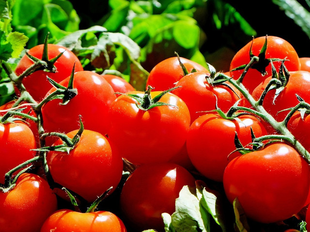 Für das Rezept brauchst du nur 6 große Tomaten.