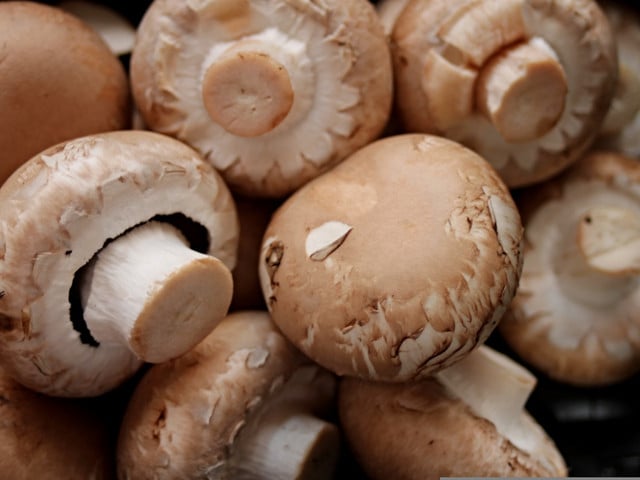 Gefüllte Champignons vom Grill: so geht’s Champignons sind reich an Vitaminen, Mineral- und Ballaststoffen.