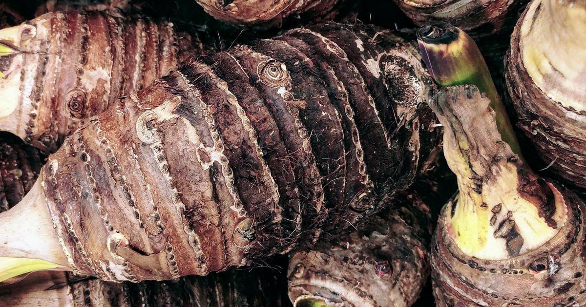 rezepte.utopia.de