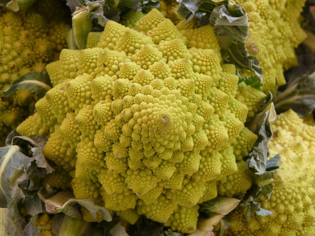 Romanesco Auflauf