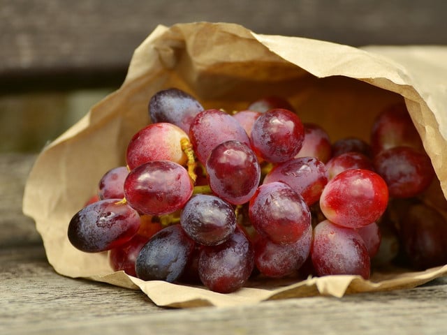 Süße Schiacciata kannst du zum Beispiel mit Weintrauben belegen.