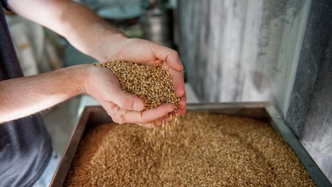 Gerstensalat: Leckeres Rezept, das satt macht