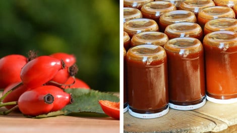 Hagebutten-Ketchup: Rezept ganz ohne Tomaten