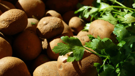 Einfache Petersilienkartoffeln: Schnelles Rezept