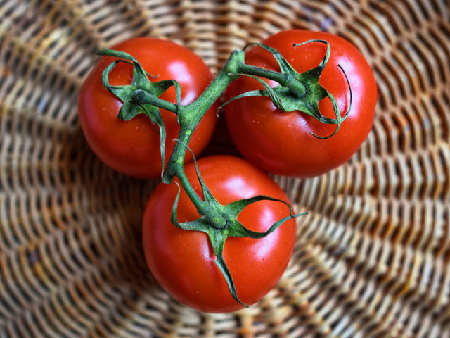 Für den Tomatenauflauf brauchst du drei frische Tomaten.