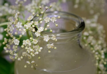 holunderblüten marmelade