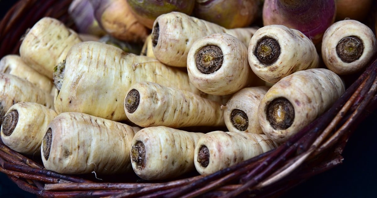 Pastinakenpüree: Einfaches Rezept für Pastinakenbrei | Utopias Rezeptwelt