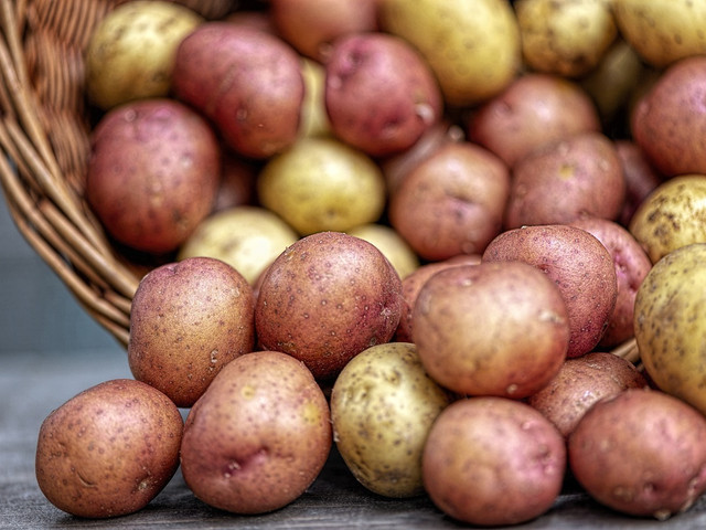 Nachhaltig kochen: Darauf kannst du achten Baue deine Kartoffeln selber an, um nachhaltig zu kochen.