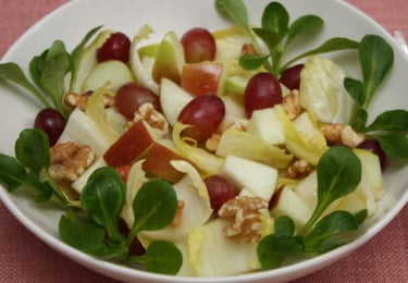 Chicoree Salat