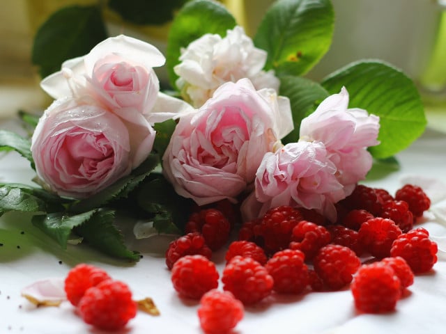 Rosenmarmelade: Tipps für die Zubereitung Du kannst Rosenmarmelade auch mit Himbeeren zubereiten.