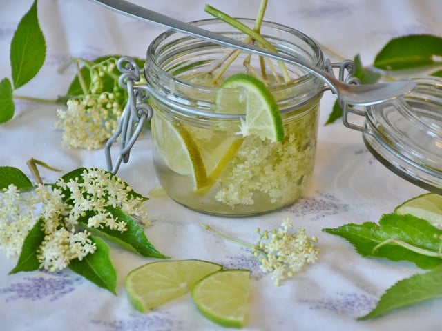 Holunderblüten ernten: Tipps Mit einer Holunderblüten-Marmelade, kannst du den aromatischen Geschmack der Blüten konservieren.