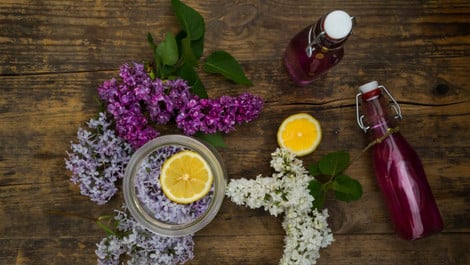 Fliedersirup-Rezept: So stellst du ihn selber her