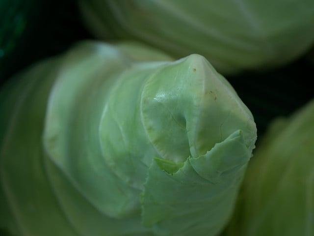 Spitzkohl erhältst du aus heimischem Bio-Anbau. 