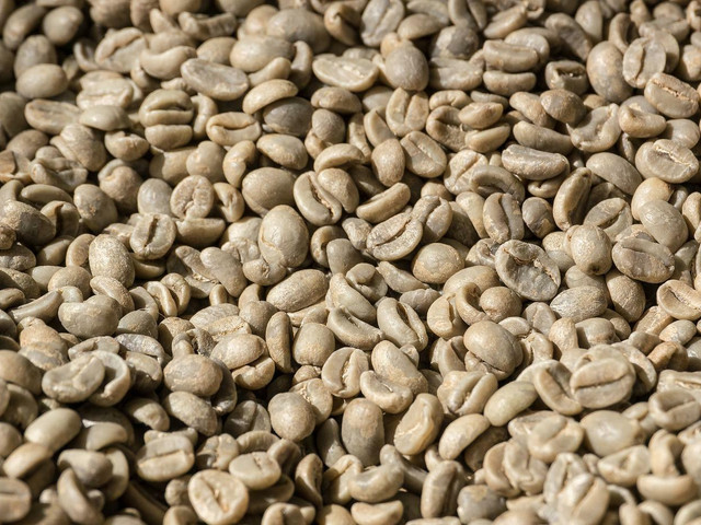 Für die Entkoffeinierung von Kaffee werden ungeröstete Bohnen genutzt.