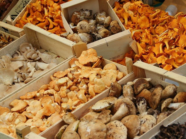 Für Pilzrisotto kannst du verschiedene Pilzsorten mischen.