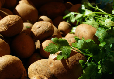 petersilienkartoffeln