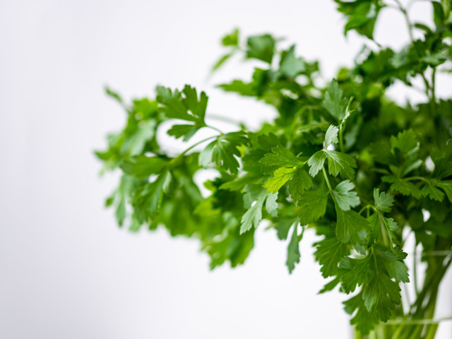 Möhrengemüse mit Kartoffeln: Servier- und Einkaufstipps Die Petersilie für das Möhren-Kartoffel-Gemüse kannst du gut selber anpflanzen.