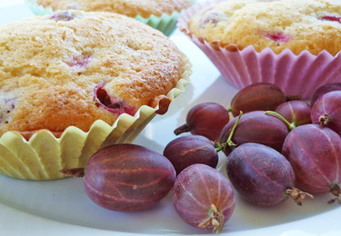 stachelbeer-muffins