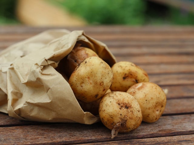 Verwende am besten festkochende Kartoffeln für den Röstkartoffelsalat.