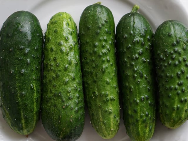 Die Gurken für den Sunomono Gurkensalat kannst du selber anbauen. 