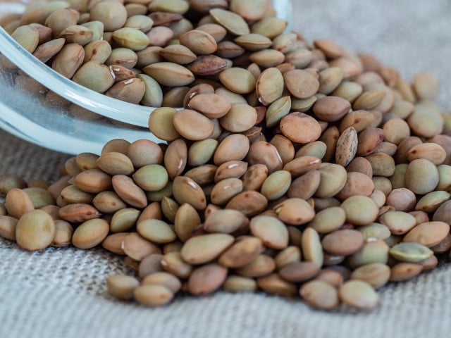 Linsen sind eine wichtige Proteinquelle für Veganer:innen und Vegetarier:innen.