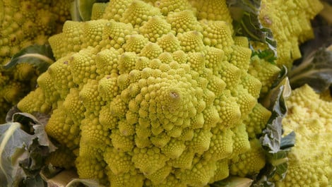 Romanesco-Auflauf: Deftiges Rezept